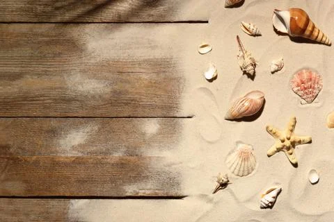 Flat lay composition with seashells, beach sand and space for text on wooden  스톡 사진