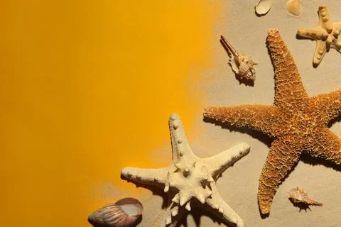 Flat lay composition with seashells, beach sand and space for text on color b Stock-Fotos