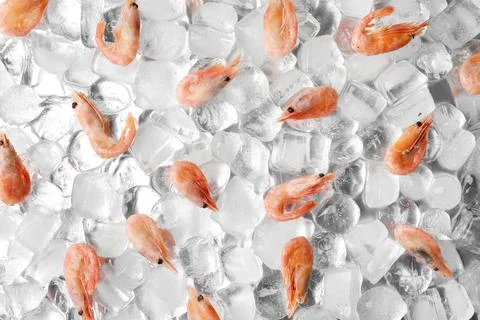 Flat lay composition with shrimps on ice cubes Stockfoto's