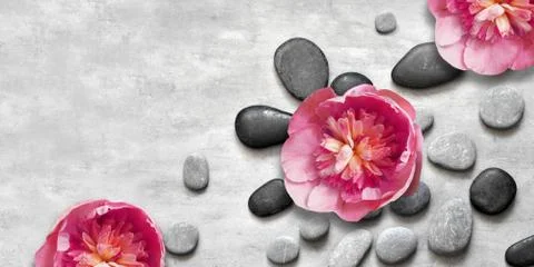 Flat lay composition with spa stones, pion pink flower on grey background. Stock Photos