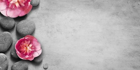Flat lay composition with spa stones, pion pink flower on grey background. Stock Photos