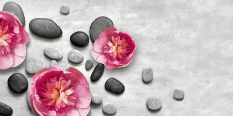 Flat lay composition with spa stones, pion pink flower on grey background. Foto stock