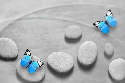 Flat lay composition with spa stones and butterfly on grey background. Stock Photos