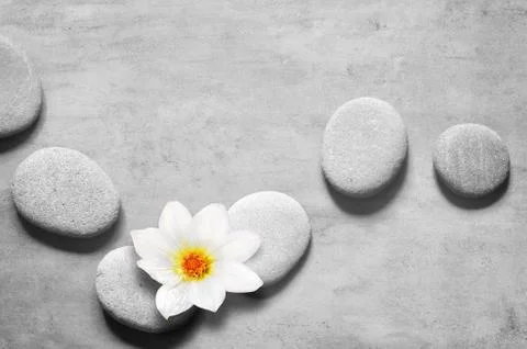 Flat lay composition with spa stones and flower on grey background. Stock Photos