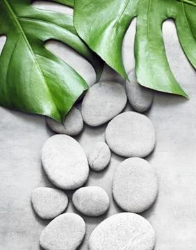 Flat lay composition with spa stones, palm leaves on grey background. Foto stock