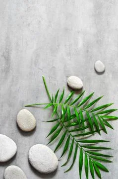 Flat lay composition with spa stones, palm leaves on grey background. Foto stock