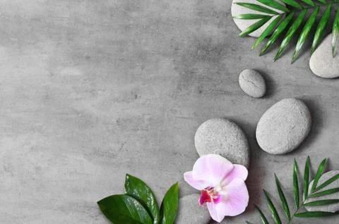 Flat lay composition with spa stones, orhid pink flower on grey background. Stock Photos