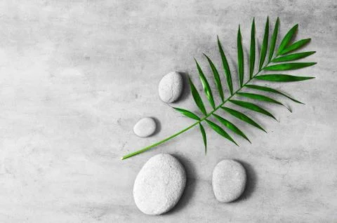 Flat lay composition with spa stones, palm leaves on grey background. Foto stock