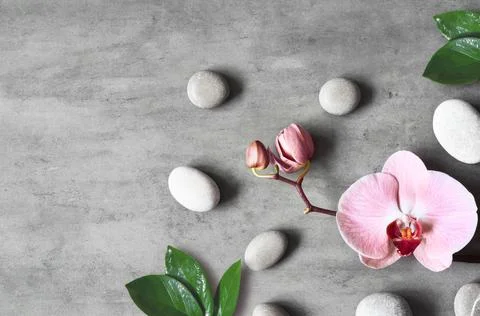 Flat lay composition with spa stones, orchid pink flower on grey background. Foto stock