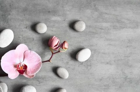 Flat lay composition with spa stones, orchid pink flower on grey background. Foto stock