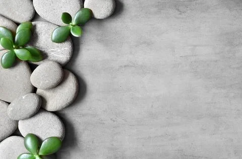 Flat lay composition with spa stones, plant on grey background. Foto stock