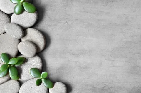 Flat lay composition with spa stones, plant on grey background. Stock Photos