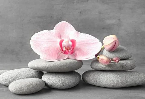Flat lay composition with spa stones, orchid pink flower on grey background. Stock Photos