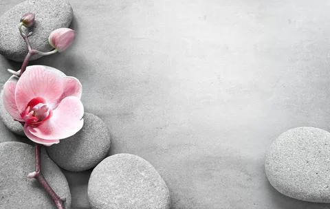 Flat lay composition with spa stones, orchid pink flower on grey background. Stock Photos