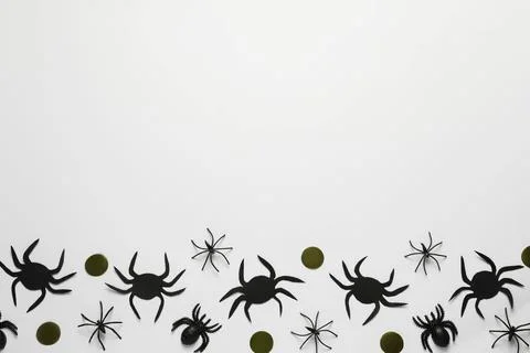 Flat lay composition with spiders and golden confetti on white background, sp Stock Photos
