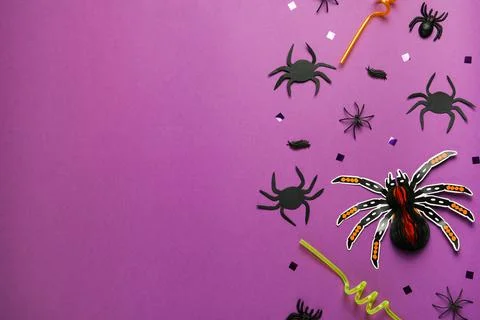Flat lay composition with spiders, confetti and straws on purple background,  Stock Photos