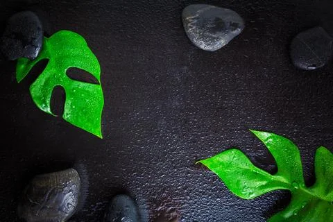 Flat lay composition with stones and monstera leaf on wet black background, Stock-Fotos
