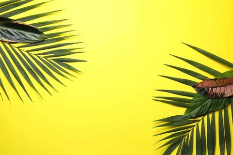 Flat lay composition with tropical leaves and space for text on color backgro Foto stock