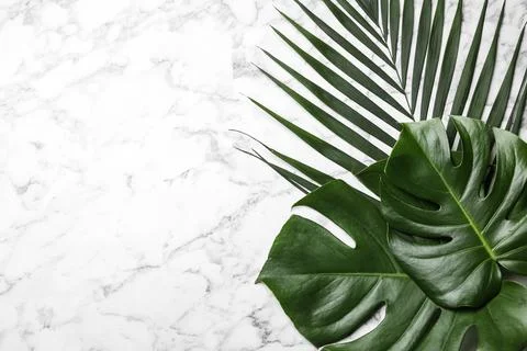 Flat lay composition with tropical leaves and space for text on marble backgr Foto stock
