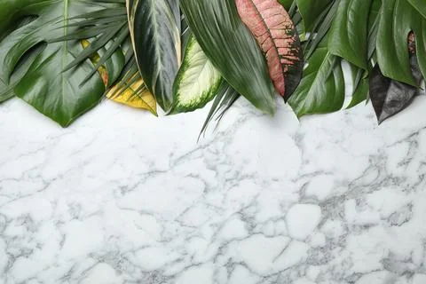 Flat lay composition with tropical leaves and space for text on marble backgr Foto stock