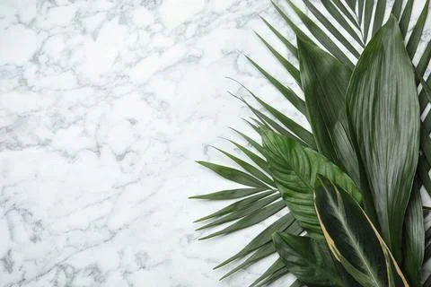 Flat lay composition with tropical leaves and space for text on marble backgr Foto stock