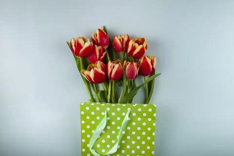 Flat lay composition with tulips  in paper bag Stock Photos