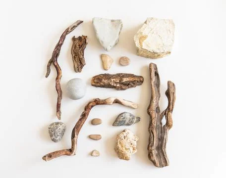 Flat lay composition from various driftwood and stones Stock Photos