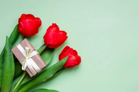 Flat lay congratulatory composition. Red tulips and gift on green background Stock Photos
