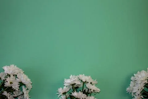 Flat lay with copy space  for the wedding, birthday, party or other celebrati Stock-Fotos