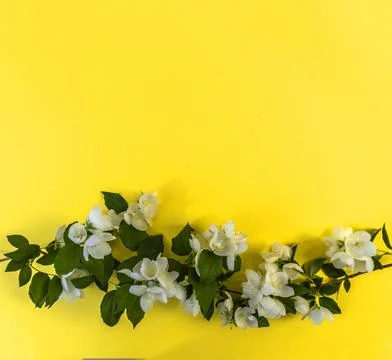 Flat lay with copy space  for the wedding, birthday, party or other celebrati Stock Photos