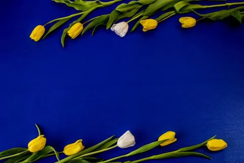 Flat lay with copy space  for the wedding, birthday, party or other celebrati Stock Photos