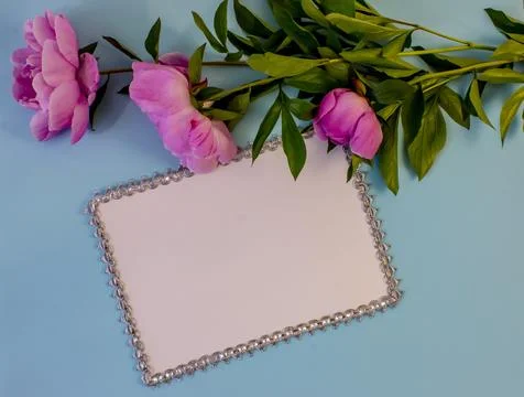 Flat lay with copy space  for the wedding, birthday, party or other celebra.. Stock Photos