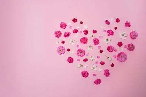 Flat lay, creative layout of blossoms, buds and petals of cherry and plum i.. Stock Photos