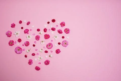 Flat lay, creative layout of blossoms, buds and petals of cherry and plum i.. Stock Photos