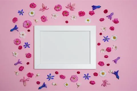 Flat lay, creative layout of blossoms, buds and petals of cherry, plum and .. Stockfoto's