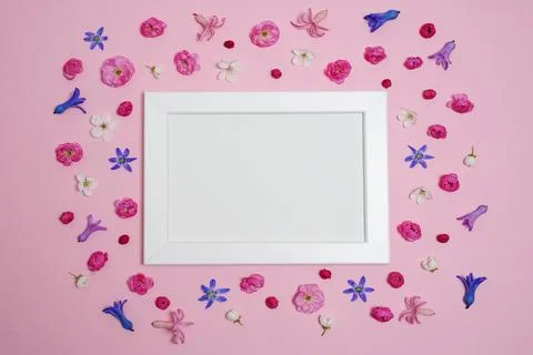 Flat lay, creative layout of blossoms, buds and petals of cherry and plum w.. Stock Photos