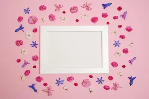 Flat lay, creative layout of blossoms, buds and petals of cherry and plum w.. Stock Photos