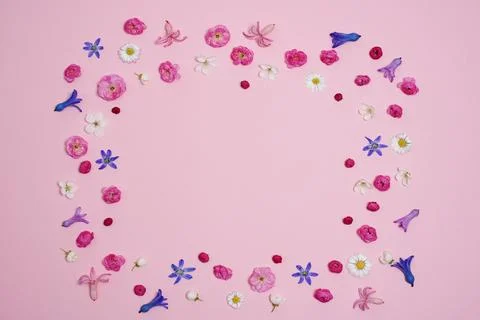 Flat lay, creative layout of blossoms, buds and petals of cherry, plum and .. Stockfoto's