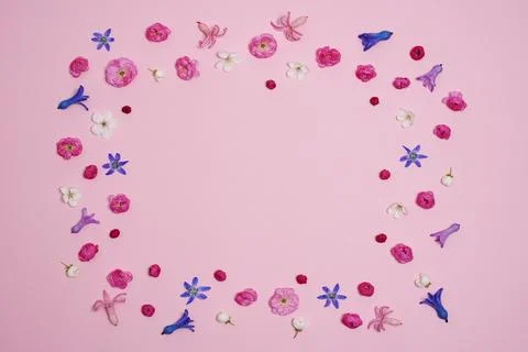 Flat lay, creative layout of blossoms, buds and petals of cherry and plum i.. Stock Photos