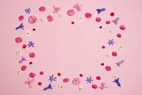 Flat lay, creative layout of blossoms, buds and petals of cherry and plum in  Stock Photos