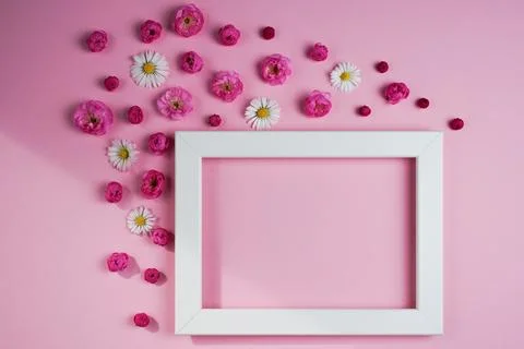 Flat lay, creative layout of blossoms, buds and petals of cherry, plum and da Stock Photos