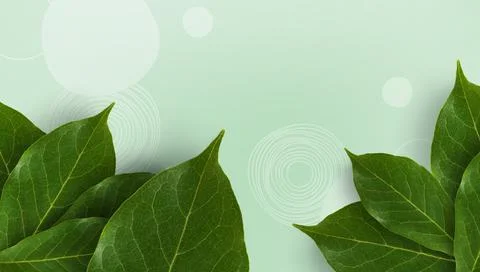 Flat lay. Creative layout made Natural background of green and tropical leaves Stock Illustration