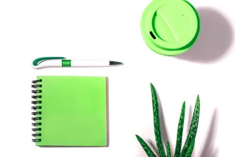 Flat lay of with cropped green notepad, pen, reusable coffee cup and aloe vera Stock Photos