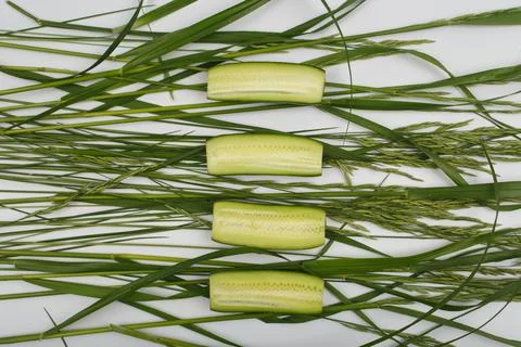 Flat lay with cut cucumbers on the grass Stock Photos