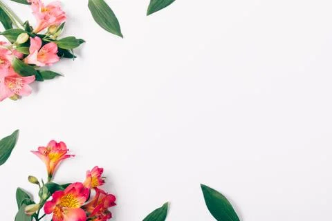 Flat lay decorative corner frame of pink flowers 스톡 사진