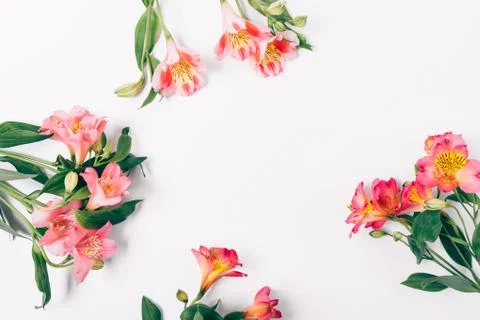 Flat lay decorative frame of pink bouquets Stock Photos