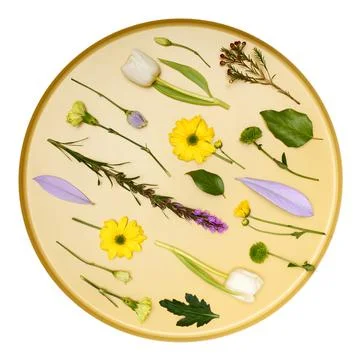 Flat lay different flowers on golden round tray Stock Photos