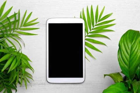 Flat lay digital tablet with tropical palm leaves on white wooden background. Stock-Fotos