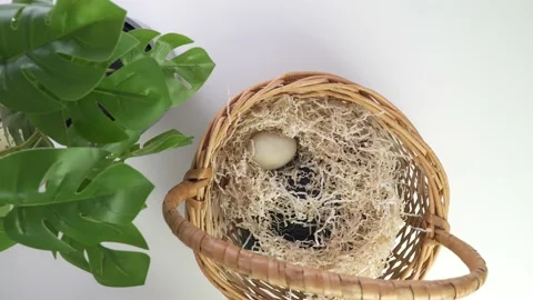 Flat lay diy painting easter eggs. step by step on how to draw a pattern on Stock Footage 169560341