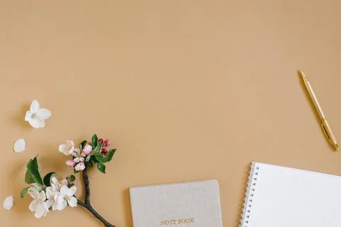 Flat lay e in beige tones for a self-employed freelance girl. Planner, pen .. Stock Photos